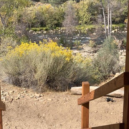 Socal Camping Kernville Ngoại thất bức ảnh