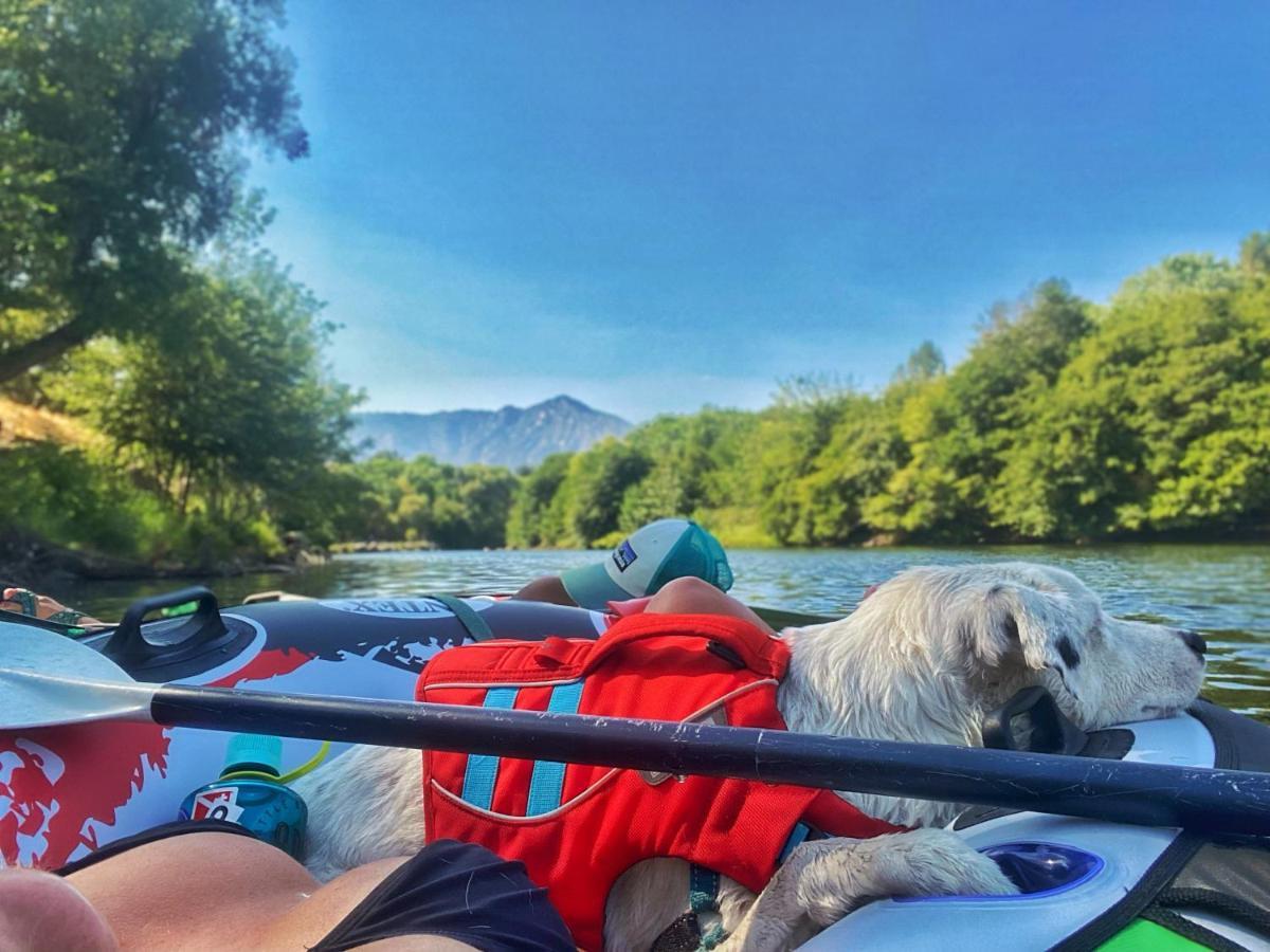 Socal Camping Kernville Ngoại thất bức ảnh