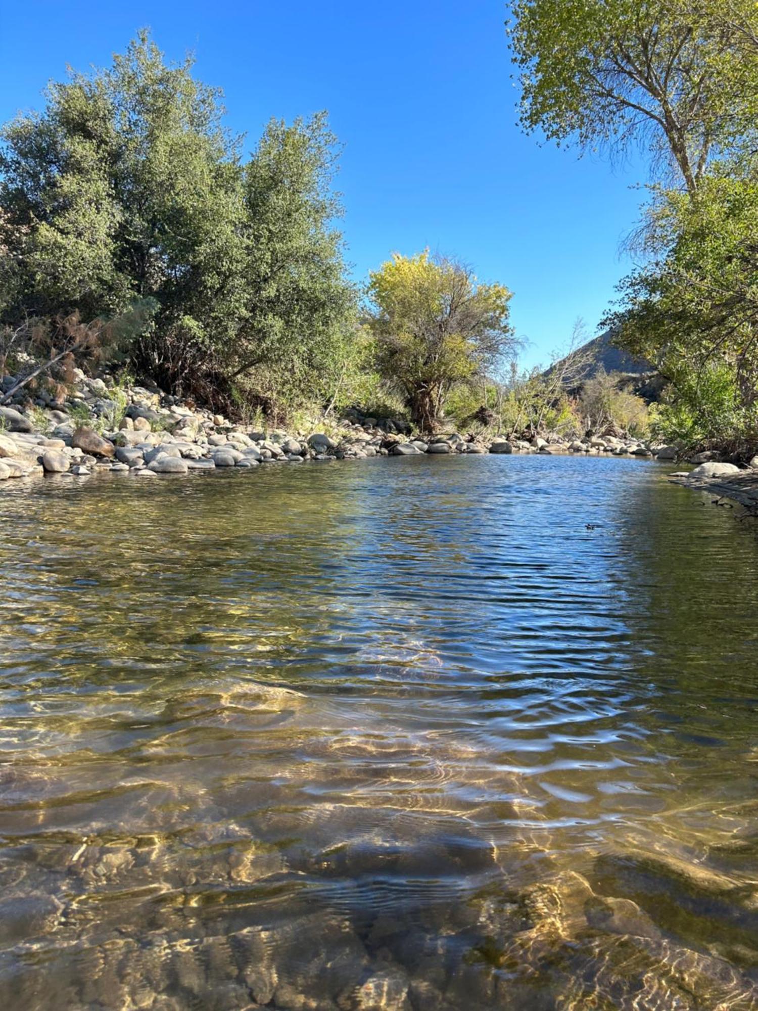 Socal Camping Kernville Ngoại thất bức ảnh